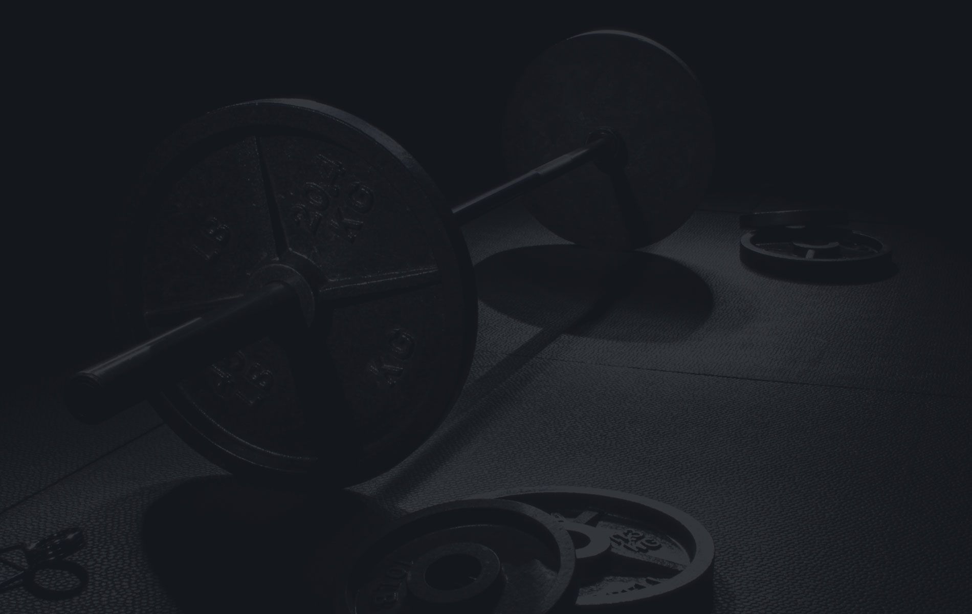 bg-image1